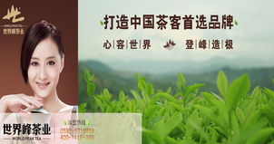 多元化經(jīng)營(yíng)，打造茶產(chǎn)業(yè)全鏈條——公司業(yè)務(wù)介紹